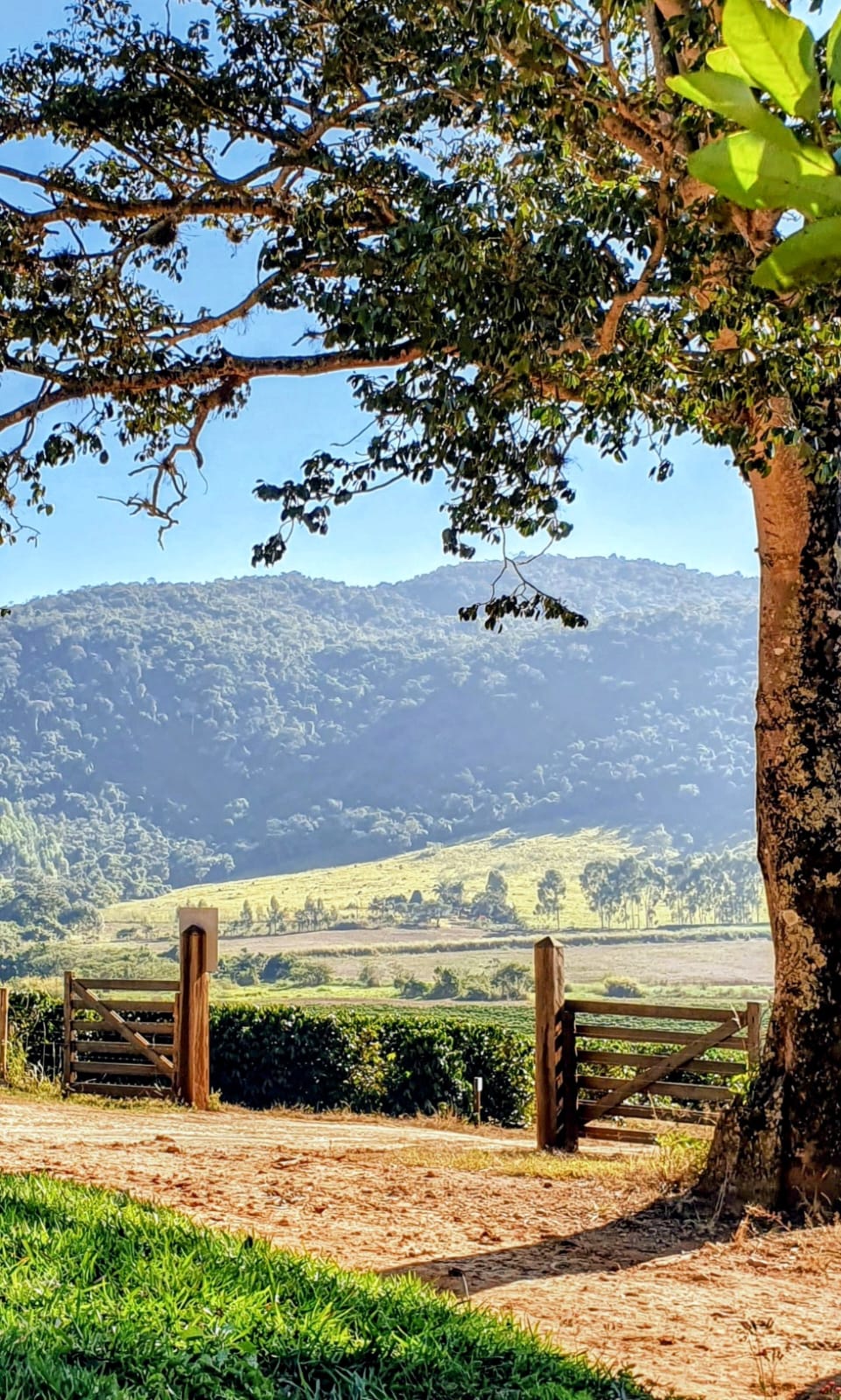 Imagem histórica da fazenda no Sul de Minas Gerais - Fazenda Vale da Serra